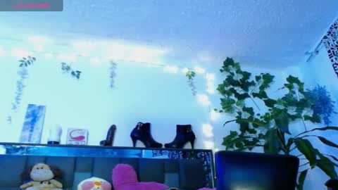 zoemi online show from January 2025 03:18:02 AM