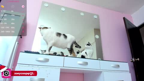 Snapshot of zoey_cooper chatting on December 2024 08:15:01 PM zoey Independent model online show from December 2024 08:15:01 PM