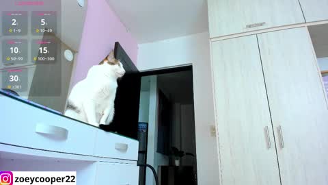 zoey  Independent model online show from November 2025 01:36:01 AM