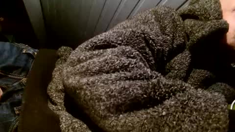 Snapshot of zolexthomas chatting on February 2025 07:55:01 PM zolexthomas online show from February 2025 07:55:01 PM