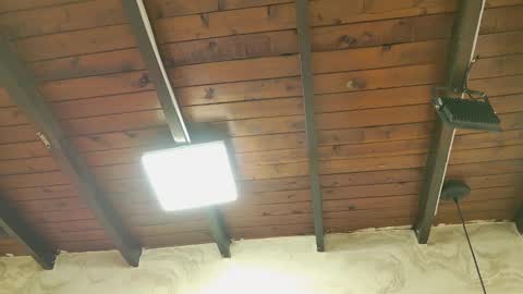 Snapshot of zoley_watson chatting on October 2025 03:04:01 AM zoley online show from October 2025 03:04:01 AM