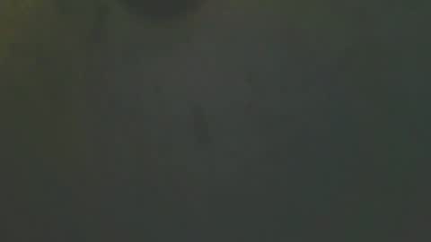 Snapshot of zomma44 chatting on May 2026 03:03:02 AM zomma44 online show from May 2026 03:03:02 AM