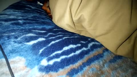 zoolilur online show from January 2025 04:14:02 PM