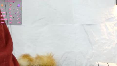 Snapshot of zorravioleta chatting on December 2025 01:20:01 PM Violeta online show from December 2025 01:20:01 PM