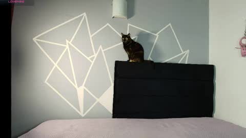 Snapshot of zpzphot chatting on March 2026 08:37:01 PM zpzphot online show from March 2026 08:37:01 PM