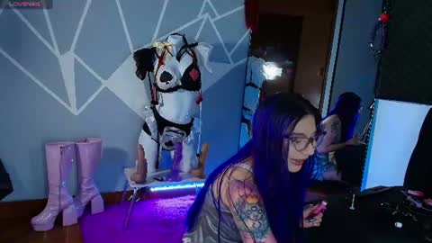 zpzphot online show from June 2026 11:36:01 AM