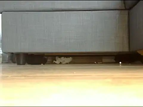 Squirtlady38 online show from February 2025 01:26:02 PM