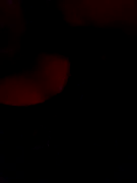 FerLu8 online show from February 2026 04:00:01 AM