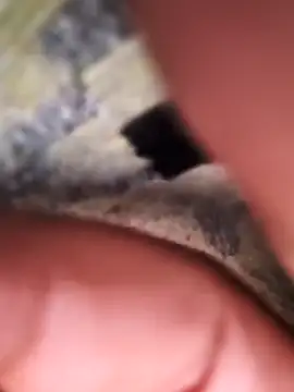 Snapshot of rajstrip12650 chatting on February 2025 11:53:02 PM rajstrip12650 online show from February 2025 11:53:02 PM