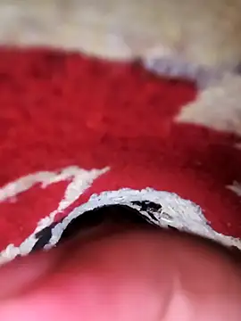 Snapshot of rajstrip12650 chatting on February 2025 01:11:01 AM rajstrip12650 online show from February 2025 01:11:01 AM