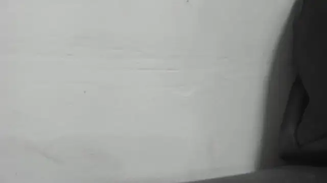 Snapshot of roxana_collins chatting on January 2025 02:30:01 AM roxana collins online show from January 2025 02:30:01 AM