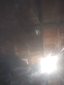 Spoonish online show from January 2026 08:08:02 AM