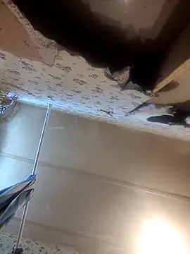 AshleyDalton101 online show from March 2026 06:08:01 PM