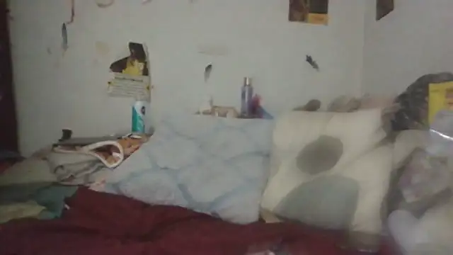 paradisejas online show from July 2026 11:40:01 AM