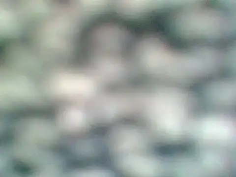 Helennahot online show from April 2026 06:34:01 PM