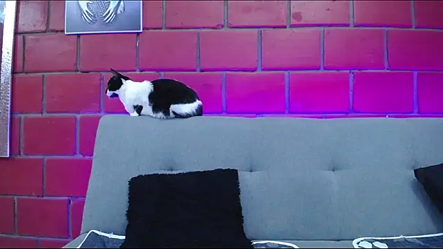 Snapshot of kiara_eyes12 chatting on February 2025 02:14:01 AM kiara eyes12 online show from February 2025 02:14:01 AM