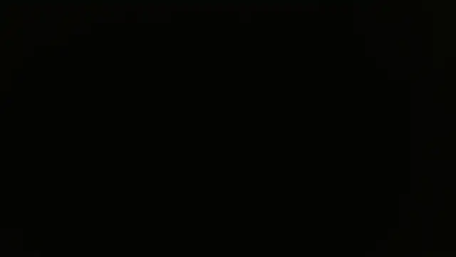 miley jensen online show from December 2024 08:02:01 AM