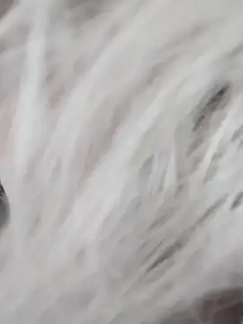 Snapshot of Linda_Gregory chatting on December 2024 07:39:02 AM Linda Gregory online show from December 2024 07:39:02 AM