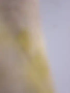 Snapshot of Mane_leet chatting on January 2026 01:50:01 PM Mane leet online show from January 2026 01:50:01 PM