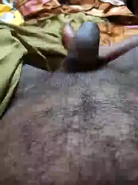 Sanjaymartin29 online show from December 2024 07:45:02 PM