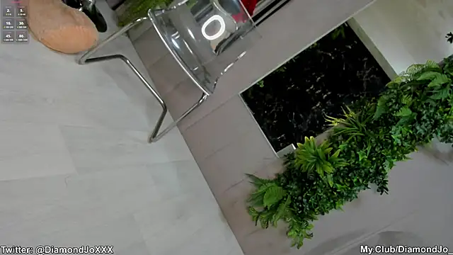 Snapshot of DiamondJo_ chatting on February 2025 11:55:02 PM DiamondJo online show from February 2025 11:55:02 PM