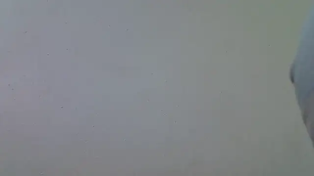 Snapshot of AddictiveAssCurves chatting on March 2026 08:39:02 AM AddictiveAssCurves online show from March 2026 08:39:02 AM