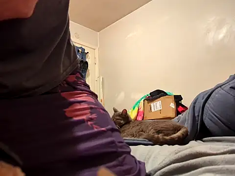 PantyhoseJasmine online show from November 2025 09:21:01 AM