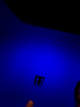 moniqque online show from December 2025 07:34:02 PM