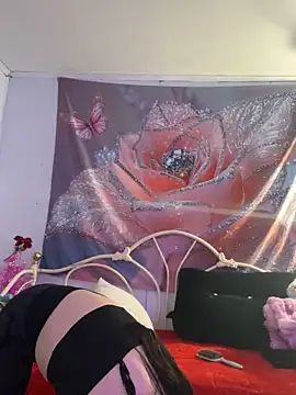 Snapshot of DominiqueX0 chatting on February 2026 09:04:01 PM DominiqueX0 online show from February 2026 09:04:01 PM