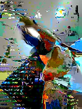 Sam Sara online show from February 2025 05:37:01 PM