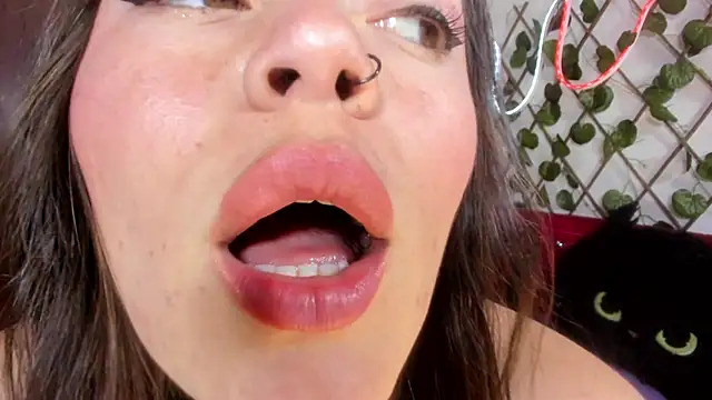  kalypso  online show from February 2026 05:44:01 PM