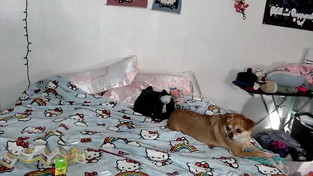 Snapshot of Cupcakecutie449 chatting on March 2026 07:43:02 PM Cupcakecutie449 online show from March 2026 07:43:02 PM