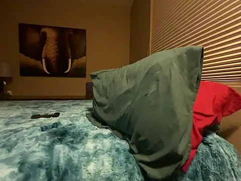 Bwcjoshbanks online show from January 2025 05:30:01 AM