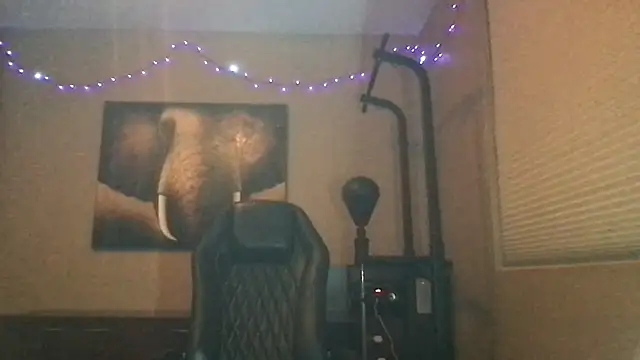 Bwcjoshbanks online show from May 2026 05:13:01 AM