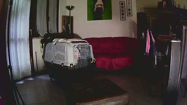 Snapshot of Sabrina-Palermo chatting on January 2026 12:31:01 PM Sabrina-Palermo online show from January 2026 12:31:01 PM