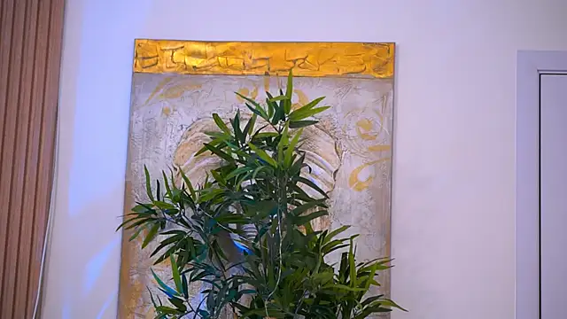 LesaisMore online show from January 2025 08:54:02 AM