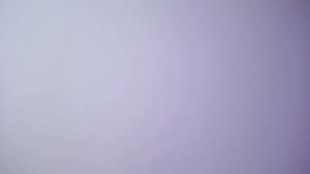 LesaisMore online show from February 2025 08:06:01 AM