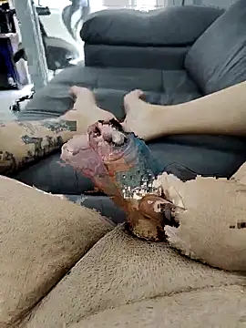 Snapshot of pete_97 chatting on September 2025 03:02:02 PM pete 97 online show from September 2025 03:02:02 PM