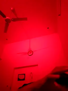 ZIMMY25 online show from November 2025 07:35:02 PM