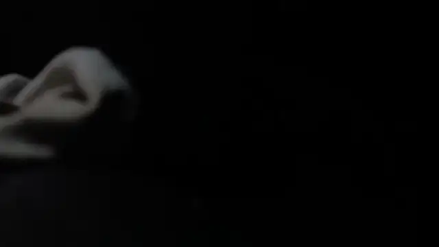 VARGAcz online show from February 2026 01:50:02 PM