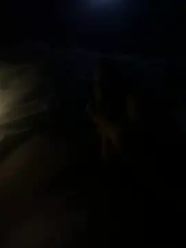 youngTJ online show from July 2026 02:51:02 AM