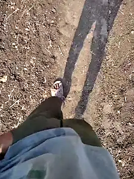 dipa-jitu online show from March 2025 03:20:01 AM