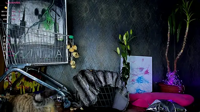 Snapshot of little_grinch666 chatting on January 2025 07:59:02 PM little grinch666 online show from January 2025 07:59:02 PM