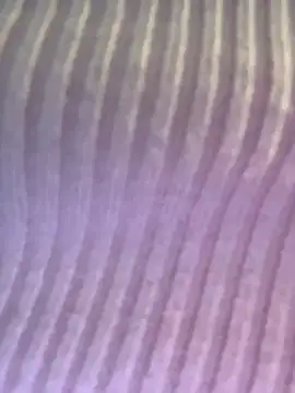 Isabellafantazy online show from December 2025 04:01:01 PM