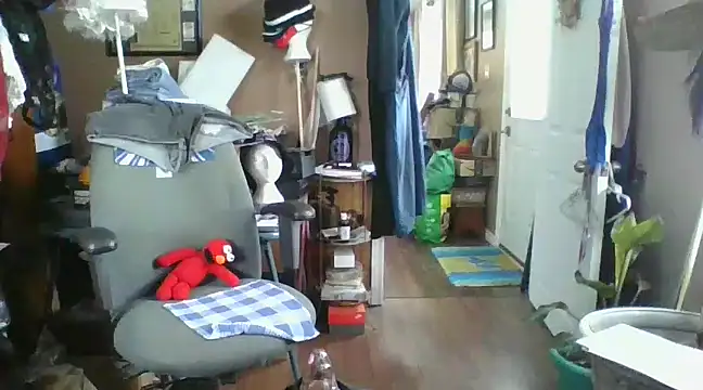 Snapshot of Daremeknot chatting on December 2024 03:28:02 PM Daremeknot online show from December 2024 03:28:02 PM