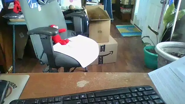 Snapshot of Daremeknot chatting on December 2024 03:53:02 PM Daremeknot online show from December 2024 03:53:02 PM