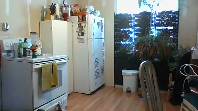 Snapshot of Daremeknot chatting on February 2025 07:05:02 PM Daremeknot online show from February 2025 07:05:02 PM