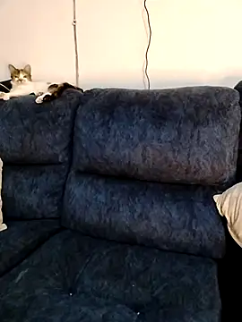 Snapshot of MrsFoucher chatting on February 2026 04:40:02 AM MrsFoucher online show from February 2026 04:40:02 AM