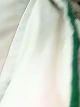 Snapshot of LikaCat chatting on March 2025 04:04:01 AM LikaCat online show from March 2025 04:04:01 AM