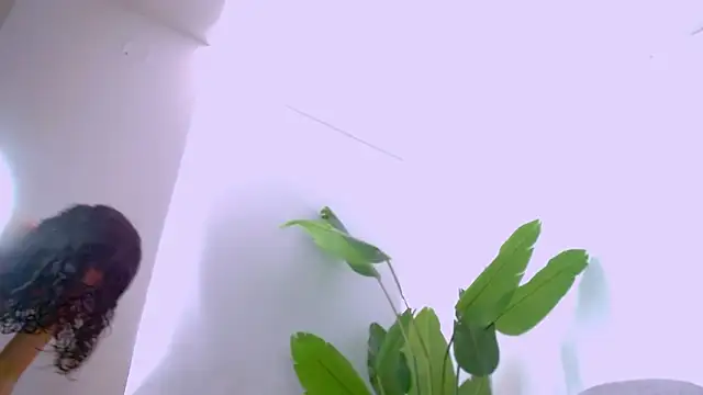 Snapshot of Sara_ow chatting on February 2026 07:29:02 PM Sara ow online show from February 2026 07:29:02 PM